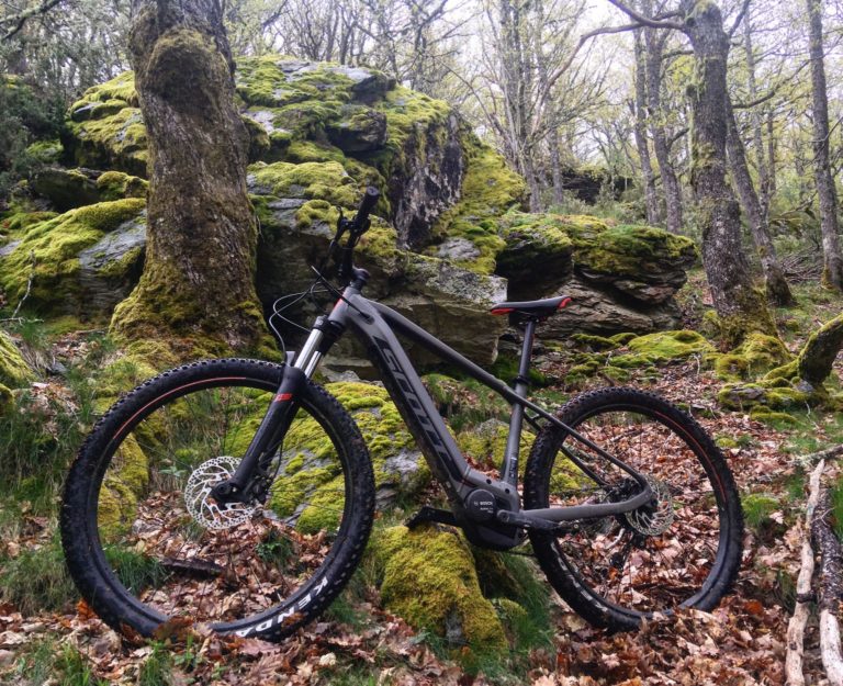 F2C7B90D 2CD3 45A4 AA0A F2A8F99280FE 1536x1249 1 768x625